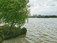 -上海山野camping·户外天幕烧烤·团建拓展营地