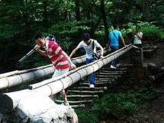 -本溪汤沟绿石谷森林公园