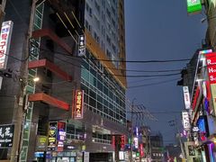 -宝健路步行街(Pedestrian Shopping Street)