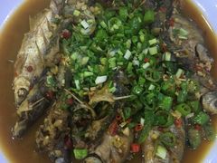 -全乐鱼馆·淳牌有机鱼直营店