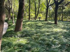 -昆山城市生态森林公园