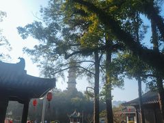 -江心屿景区