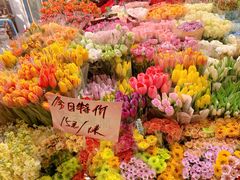 -曲阳花鸟市场(曲阳路店)