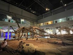 -自贡恐龙博物馆