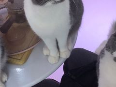 -极木²邸 人与宠物·互动社区