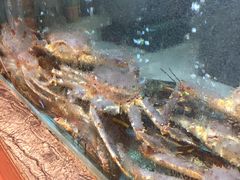 -海逸海鲜酒家(古北店)