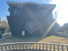 -金山农民画村-枫泾波兰倒置屋