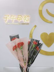 -子午孕教·孕妇瑜伽产后恢复(市北店)