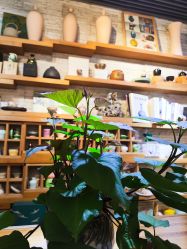 -今日陶艺(富力广场店)