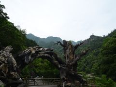-龙湾潭国家森林公园
