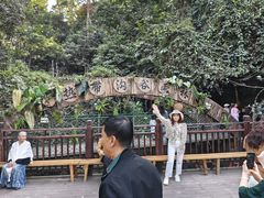 -西双版纳原始森林公园