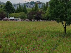 -花溪公园