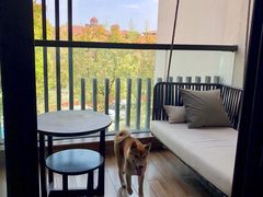 -上海崇明金茂凯悦酒店