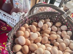 -马陆小张葡萄园农家乐