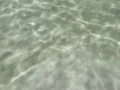 -盐湖景区