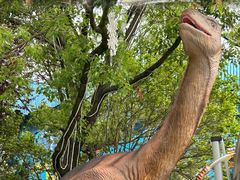 -海合安武汉极地海洋公园