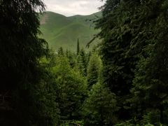 -新疆那拉提国家旅游度假区