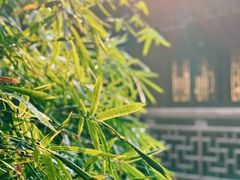 -沙家浜风景区