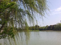 -澹台湖公园