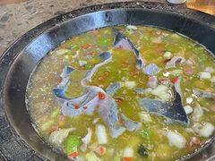 -鲜椒鱼·雅安地标性美食