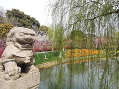 -圩墩遗址公园