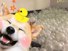 -FAIRYLAND龙族星球主题餐厅(凯丹广场店)