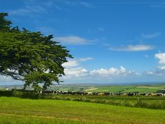 -上海和平饭店龙凤厅 Dragon Phoenix