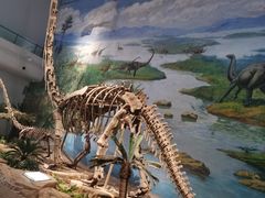 -自贡恐龙博物馆