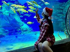 -沈阳海洋探索中心