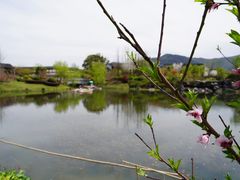 -雅达·阳羡溪山小镇中心