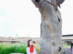 -镇北堡西部影城