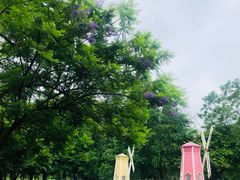 -南宁良凤江国家森林公园