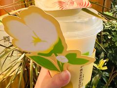 -奈雪的茶(M+世纪都会广场店)