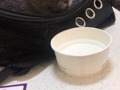 -宠爱国际动物医院· 猫科· 外科·中兽医(长白店)