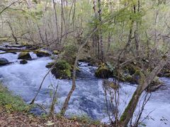 -叠溪松坪沟景区