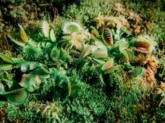 -国家植物园南园