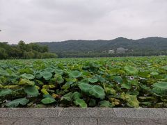 -杭州萧山国际机场