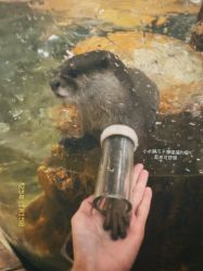 点击看大图 -Zoolung Zoolung动物主题公园(海信广场店)