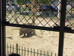 -秦皇岛野生动物园