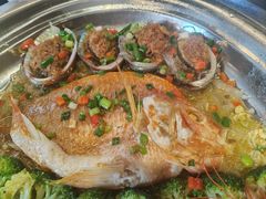 -凤霞海鲜大排档·天津菜(抗震路店)