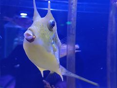 -太平洋海底世界