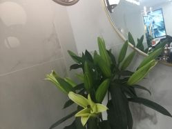 -时尚玩家发型设计