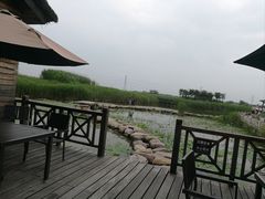 -宁波杭州湾国家湿地公园