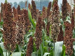 -瀛海足球主题公园