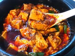 -陈麻婆豆腐总店