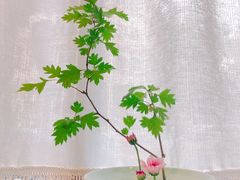 -赵记老铺(市府恒隆广场店)