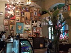 -猫咪博物馆(顶澳仔猫街店)