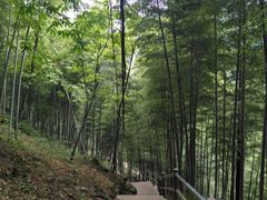 -藏龙百瀑风景区