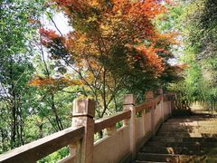 -杭州半山国家森林公园