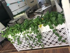 -Future&Kitchen
